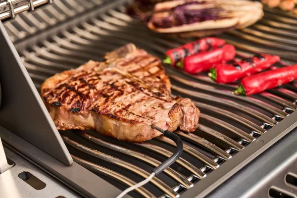 Napoleon Gasgrill Prestige PRO 500 schwarz inkl. Drehspieß