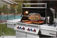 Napoleon Grillkorb für Drehspieß