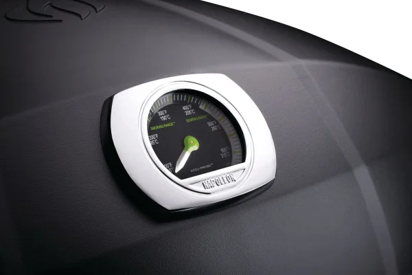 Napoleon Elektrogrill Travel Q PRO285E