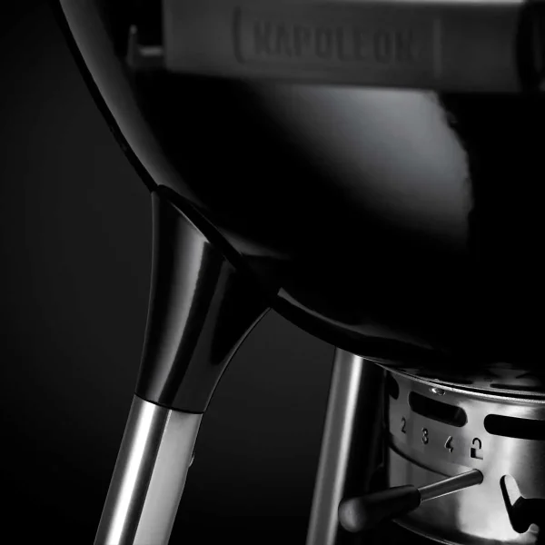 Napoleon Rodeo Professional PRO22K-Leg 3