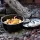 Lodge Deep Camp Dutch Oven